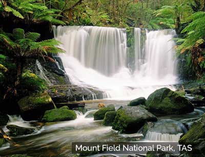 Mount Field National Park, Tasmania