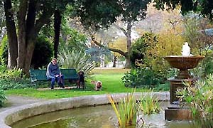 The pet-friendly Botanic Gardens in Colac, VIC