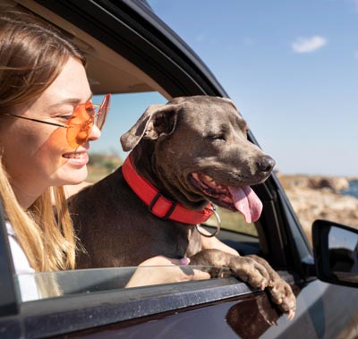 A getaway with your pooch can be fun for the whole family!