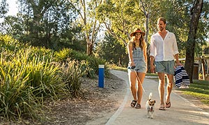 Plenty of walkies in Wagga Wagga, NSW