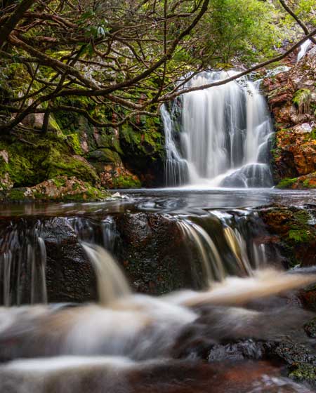 Preston Falls, Tasmania