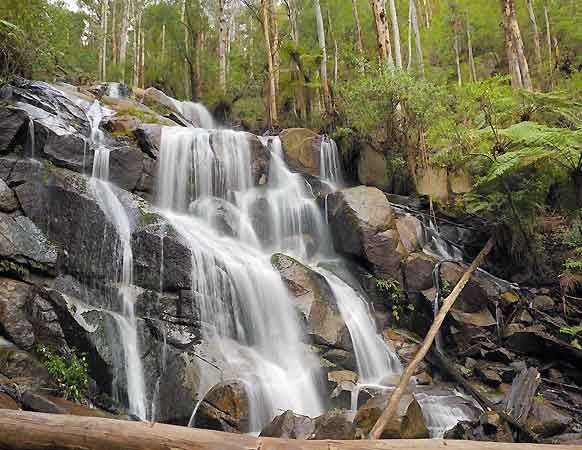 Toorongo Falls, nr Noojee, VIC