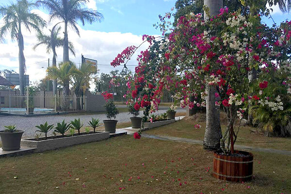 Gardens, pool and driveway at the Bororen Motel, QLD