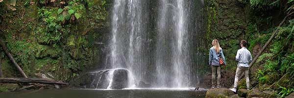 colac-beauchamp-falls Beauchamp Falls, Beech Forest, VIC