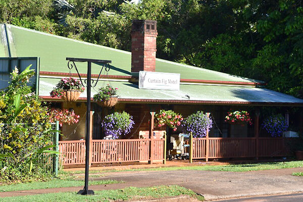 Heritage-style Curtain Fig Motel, Yungaburra, QLD